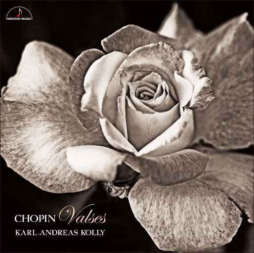 无码精品一二区三区免费不卡
